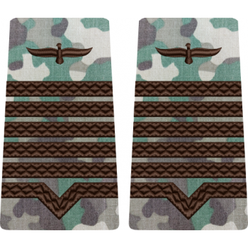 GRADE COMBAT TERESTRU MAISTRU MILITAR PRINCIPAL Aviația Română (Forțele Aeriene )